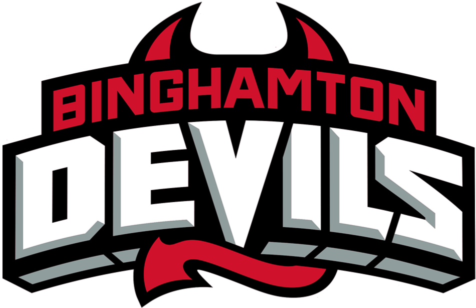 Binghamton Devils 2017-Pres Wordmark Logo iron on heat transfer